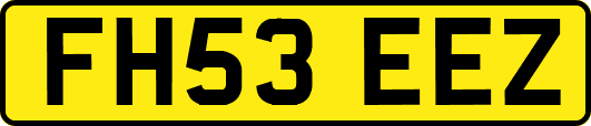 FH53EEZ