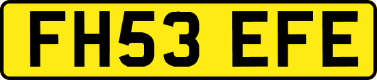 FH53EFE