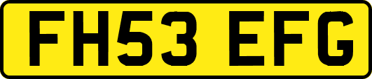 FH53EFG