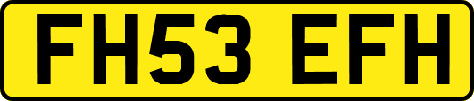 FH53EFH