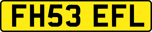 FH53EFL