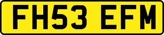 FH53EFM