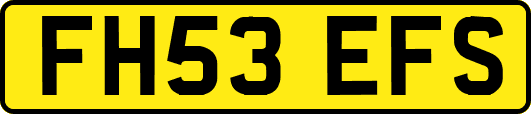 FH53EFS