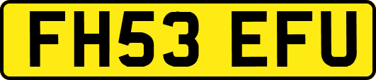 FH53EFU