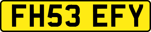 FH53EFY