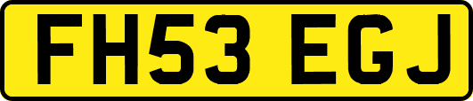 FH53EGJ
