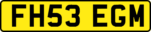 FH53EGM