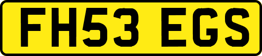 FH53EGS