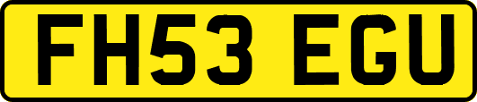 FH53EGU