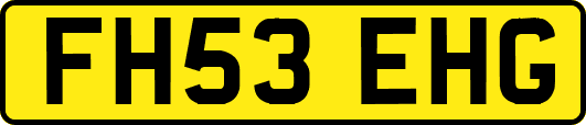 FH53EHG