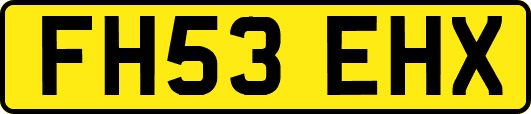 FH53EHX