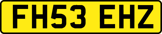 FH53EHZ