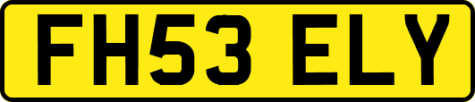 FH53ELY