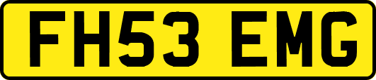 FH53EMG