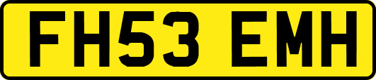 FH53EMH