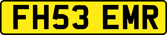 FH53EMR
