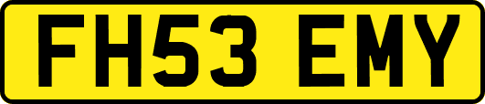 FH53EMY
