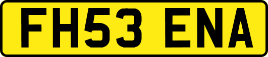 FH53ENA