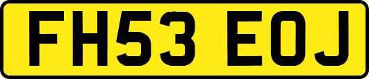 FH53EOJ