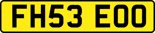 FH53EOO