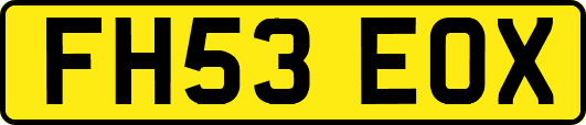 FH53EOX
