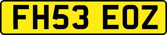 FH53EOZ