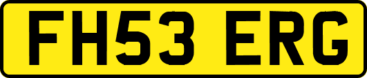 FH53ERG