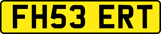FH53ERT