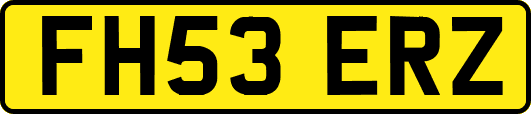 FH53ERZ