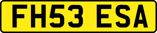 FH53ESA