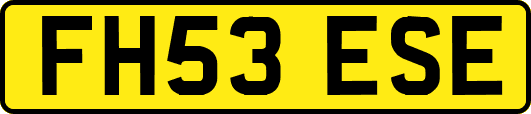 FH53ESE
