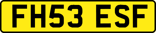 FH53ESF