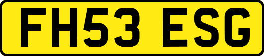 FH53ESG