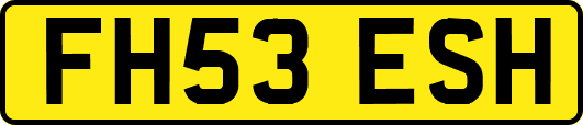 FH53ESH