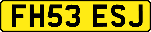 FH53ESJ