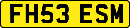 FH53ESM