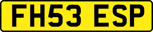 FH53ESP