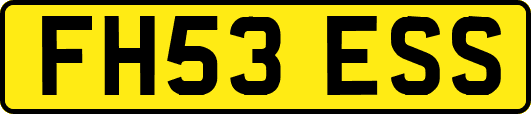 FH53ESS