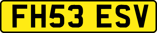 FH53ESV