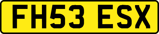 FH53ESX