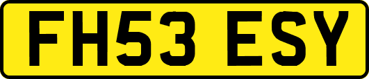 FH53ESY