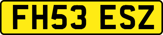 FH53ESZ