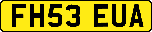 FH53EUA