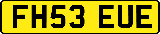 FH53EUE