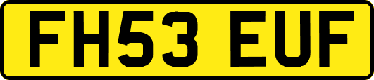 FH53EUF