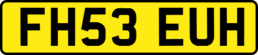FH53EUH