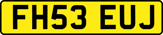 FH53EUJ