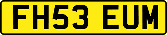 FH53EUM