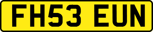 FH53EUN