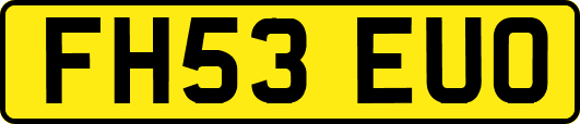 FH53EUO